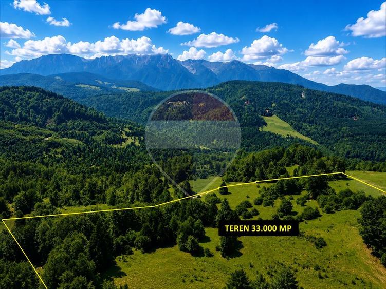 Teren agricol extravilan de 33319 mp, în Vlădeț - Trei Brazi