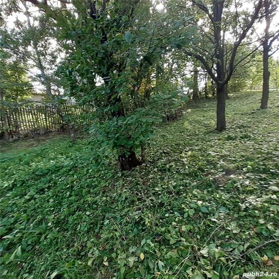 Teren de 2500 mp, în Pietriceaua
