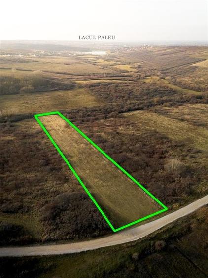Teren Construcții intravilan de 6895 mp, în Uileacu de Munte