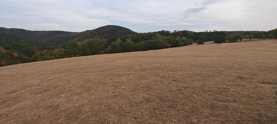 Teren de 35400 mp, în Balta