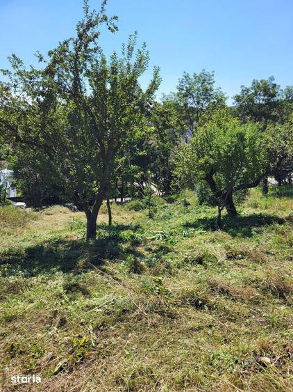 Teren de 1500 mp, în Ilieni