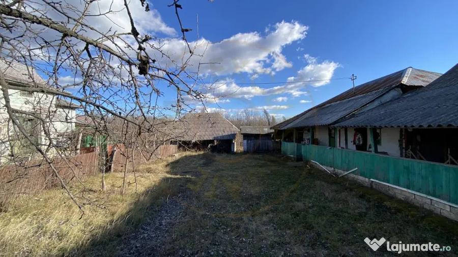 Casă cu 3 camere cu Teren 4145 Mp în Vedea