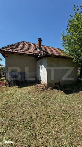 Casa cu teren 1100 mp si hala in curte, sat Carbesti - 6