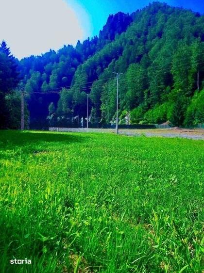 Teren intravilan 4000mp ideal investitii in apropiere de Colibita - 4