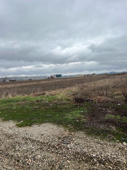 Teren Construcții intravilan de 6000 mp, în Exterior Est