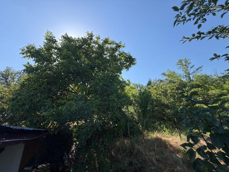 Casă cu 3 camere în Murgești