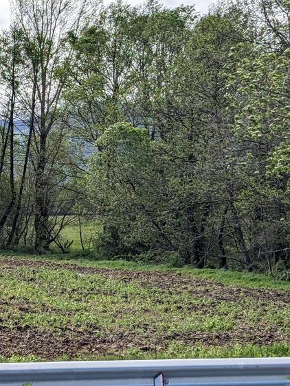 Teren în Copăcel