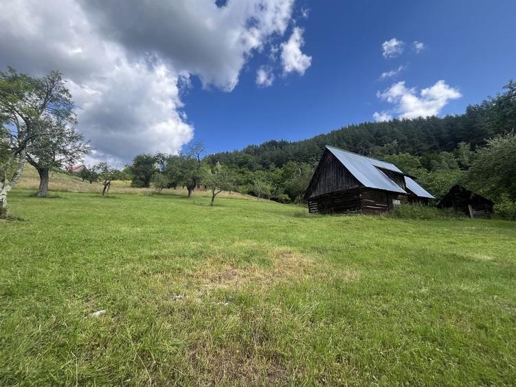 Teren de 5500 mp, în Râu Sadului