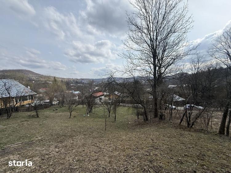 Teren de 6040 mp, în Provița de Jos