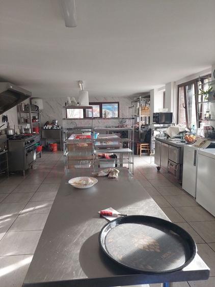Proprietate specială, de 200 mp, în Obreja