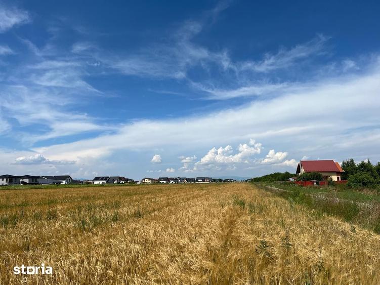 Teren de 1000 mp, în Cristian