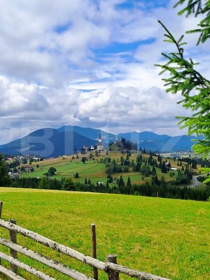 Teren Construcții intravilan de 3936 mp, în Piatra Fântânele