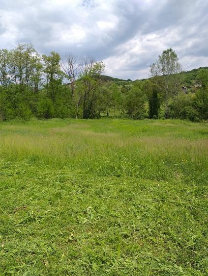 Teren de 3000 mp, în Răzvad