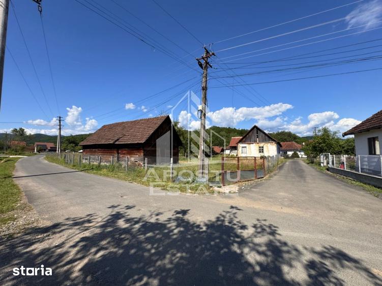 Casă cu 4 camere cu Teren 3334 Mp în Roșia Montană