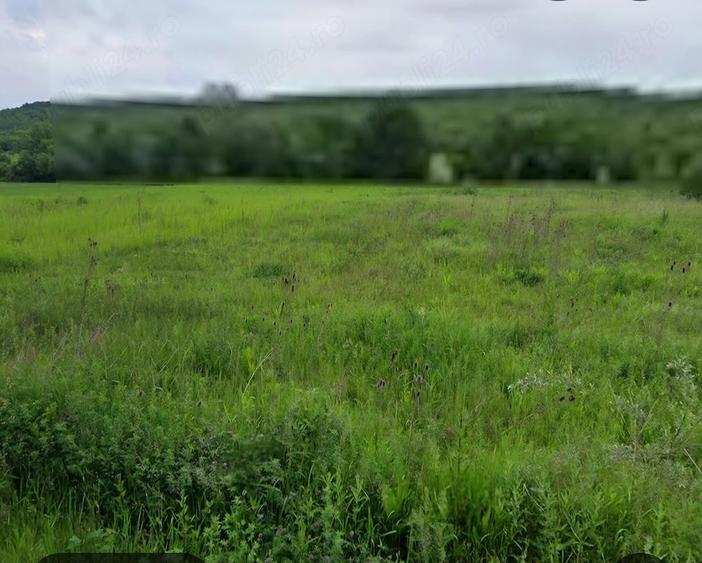 Teren de 3000 mp, în Butoiu de Sus