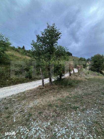 Teren de 1585 mp, în Central