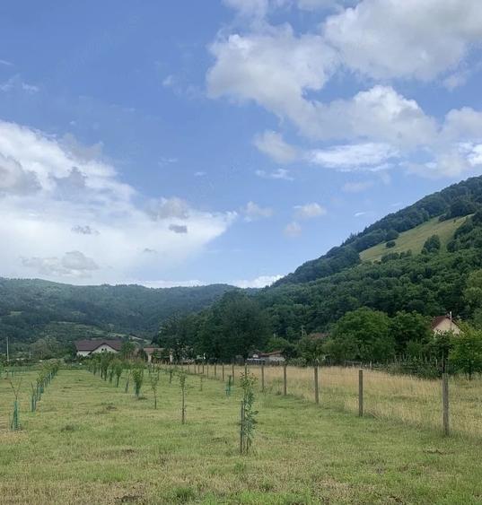 Teren intravilan 4.300 mp Leordina ( Maramures ), langa DN18 & Restaurant KM 108 - 4
