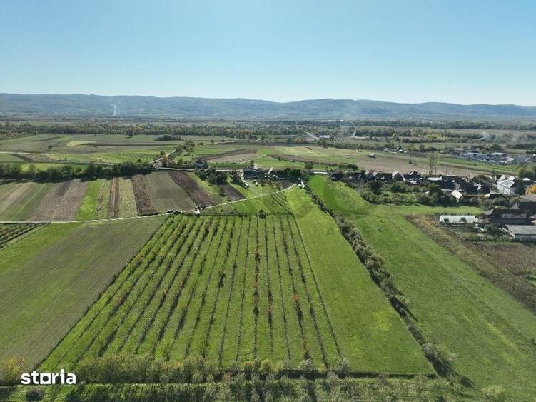 Teren de 14527 mp, în Aușeu
