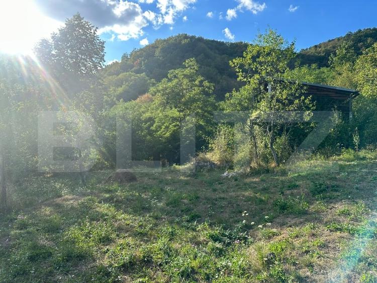 Casă individuală cu 3 camere cu Teren 10900 Mp în Căinelu de Sus