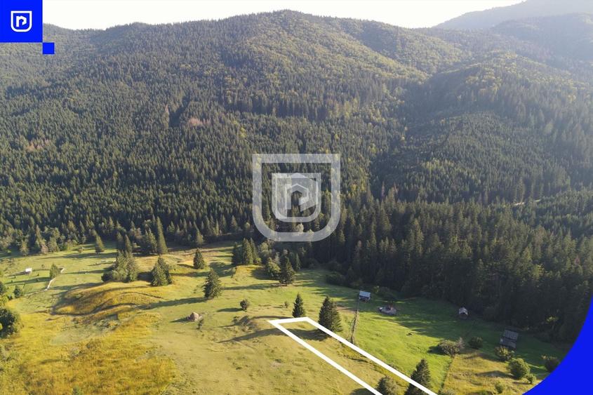Teren Construcții extravilan de 3197 mp, în Vest