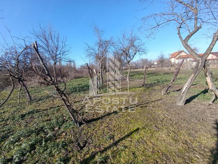 Casa individuala cu teren generos 2158mp, front 12m, liva... - 2