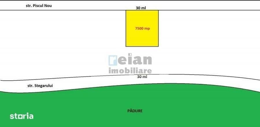 Baneasa - Drumul Piscul Nou, 7500 Mp, Deschidere 30ml - 3