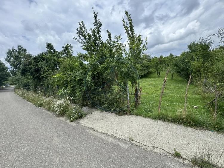 Teren de 2290 mp, în Central