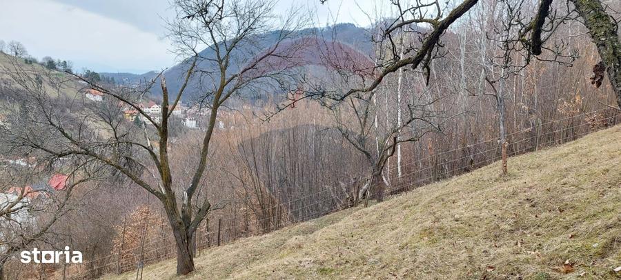 Teren de 2710 mp, în Schei