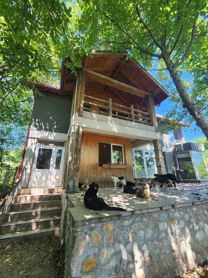 Casă cu Teren 2500 Mp în Liubcova