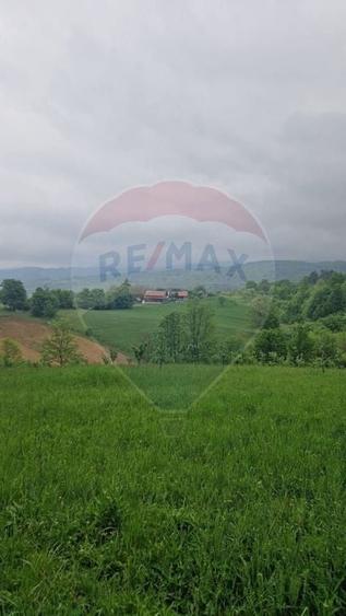 Teren Construcții intravilan de 2723 mp, în Bratca