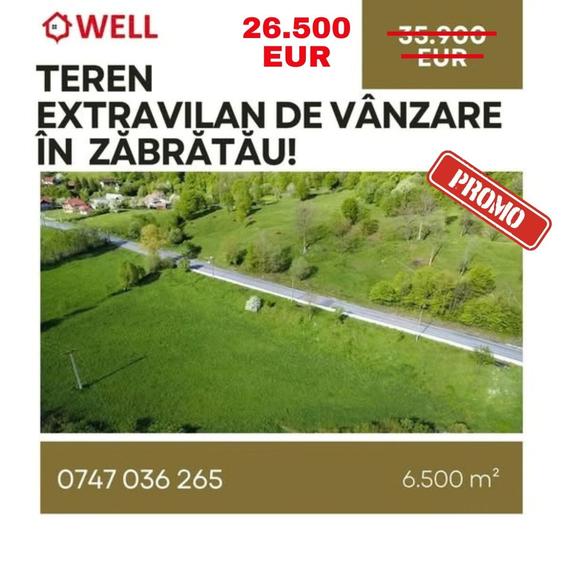 Teren extravilan de 6500 mp, în Zăbrătău