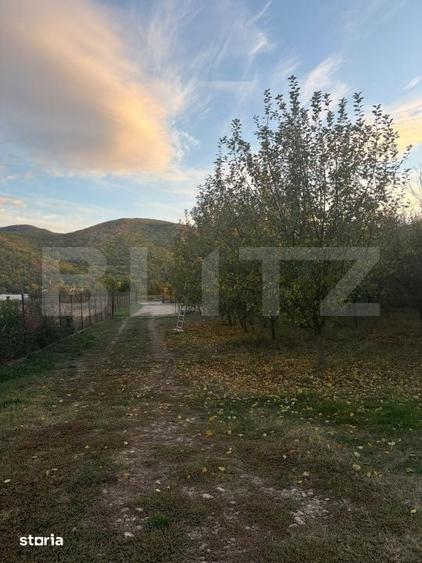 Casă cu 5 camere cu Teren 3800 Mp în Ighiu