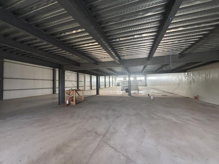 Spațiu industrial, de 885 mp, în Sânandrei