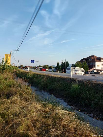Teren în Pocola