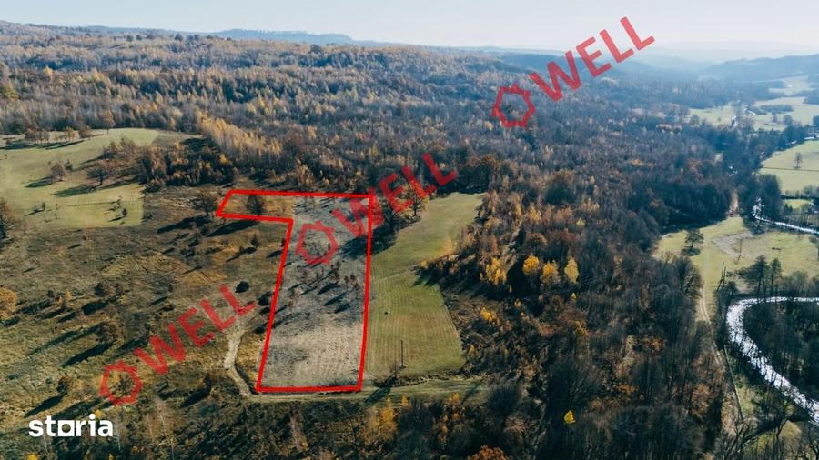 Teren de 850 mp, în Brăduț