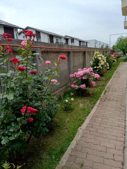 Casă individuală cu 7 camere cu Canalizare în Măgurele