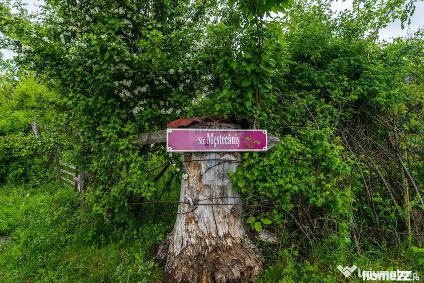 Teren Bran -Sohodol, Strada La mesteceni, 6900mp - 3