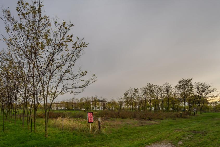 Teren Construcții intravilan de 1133 mp, în Afumați