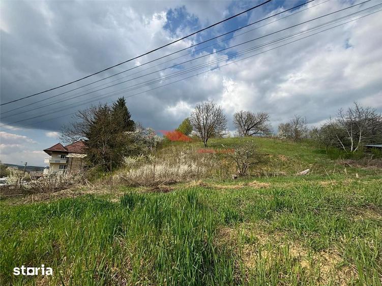 Teren intravilan 31 ari, Valea Budacului - 3