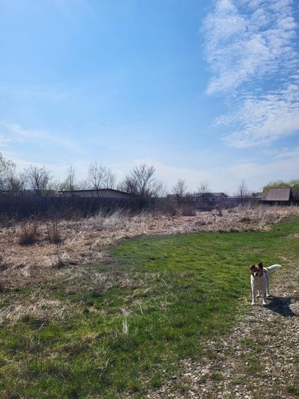 Teren Construcții intravilan de 1346 mp, în Izvorani