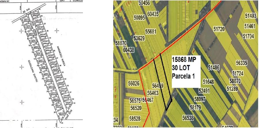 Teren de 19521 mp, în Clinceni