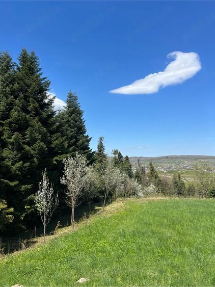 Teren de 2100 mp, în Putna