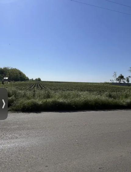 Teren de 1000 mp, în Sărulești