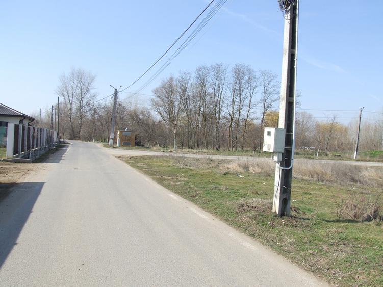 Teren Construcții intravilan de 6784 mp, în Domnești