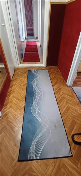 Apartament cu 3 camere decomandat, mobilat în Alexandru cel Bun