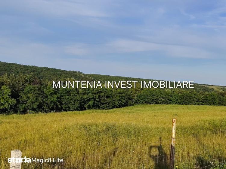 Teren de 935 mp, în Moșoaia
