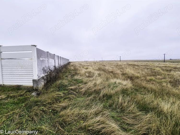 Teren de 1000 mp, în Bradu