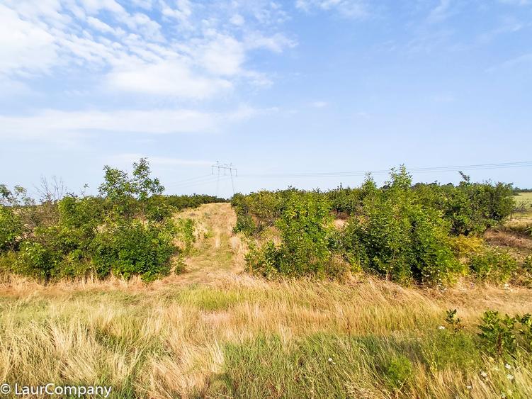 Teren extravilan de 7320 mp, în Lunca Corbului