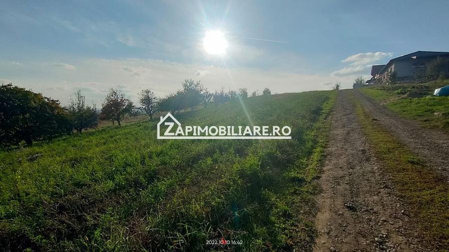 Teren Construcții intravilan de 2248 mp, în Nazna