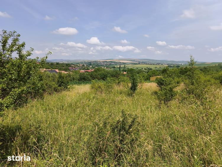 Teren de 449.03 mp, în Tureni